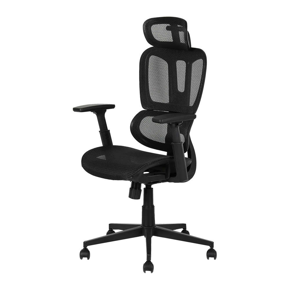 XL-5093 Sedia ergonomica in rete con divisione lombare