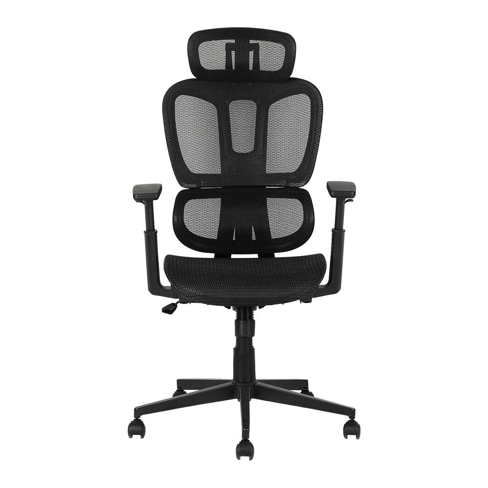 XL-5093 Sedia ergonomica in rete con divisione lombare