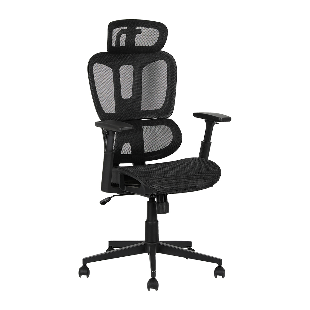 XL-5093 Sedia ergonomica in rete con divisione lombare