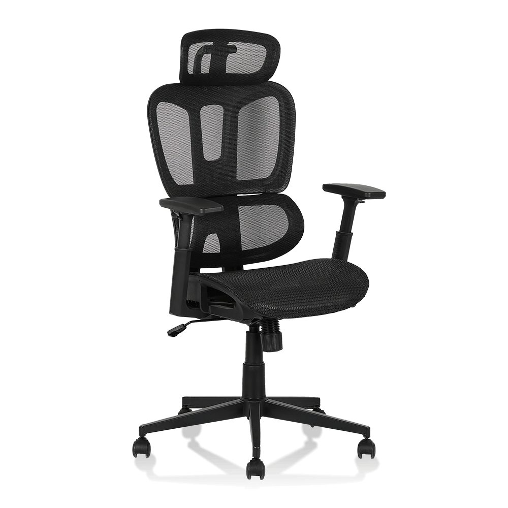 XL-5093 Sedia ergonomica in rete con divisione lombare